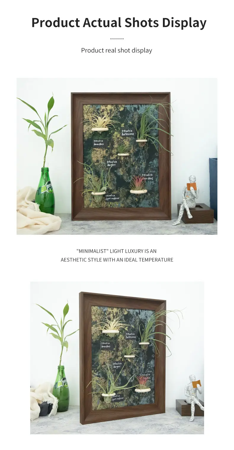 Product Actual Shots Display