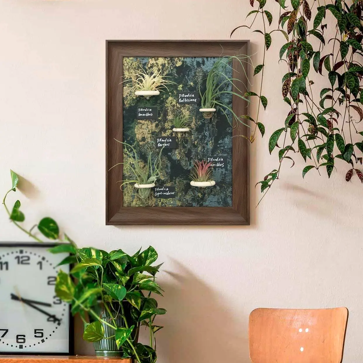 PS Wood-effect Plant-healing Picture Frame...
