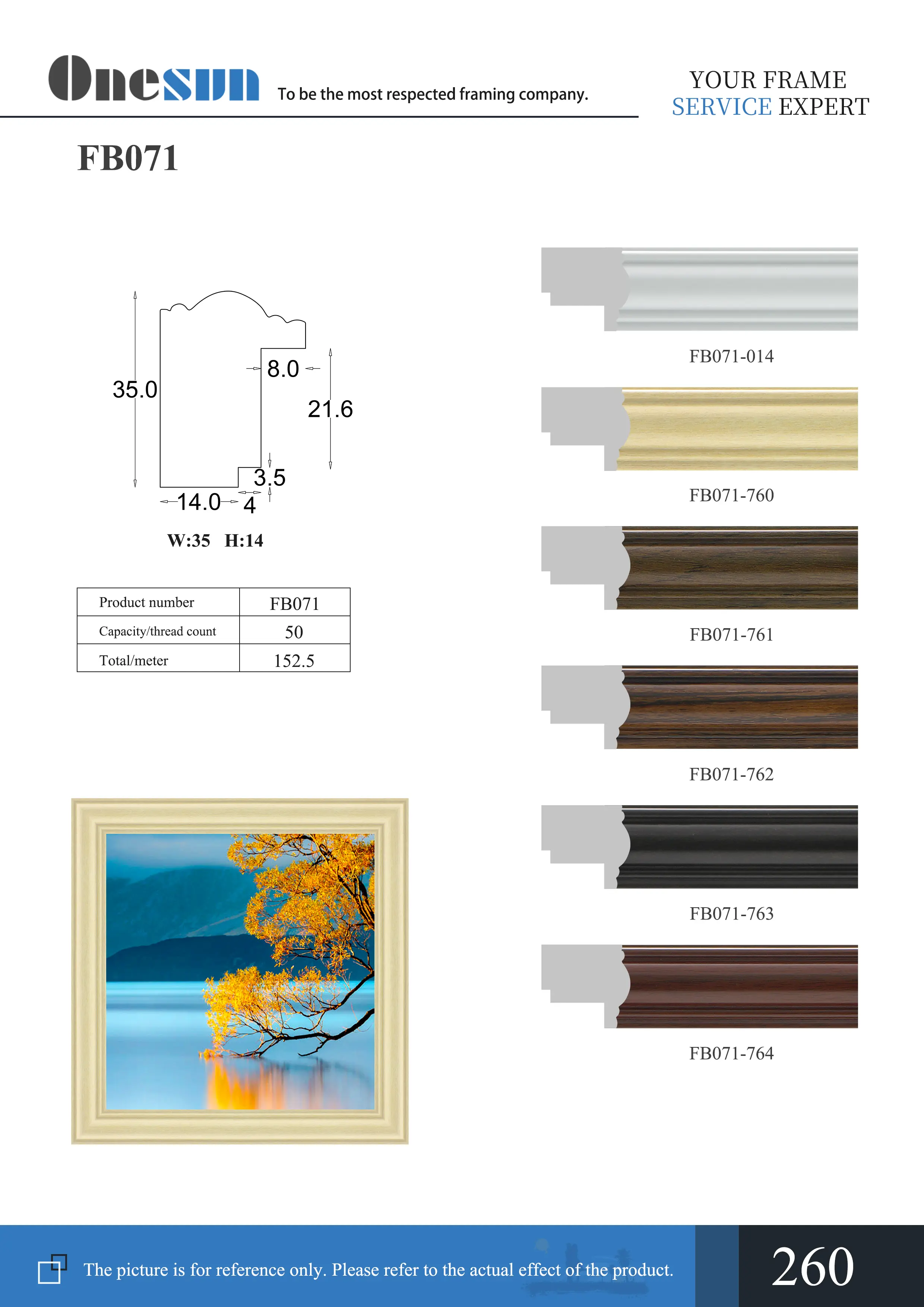 fb071-electronic-album