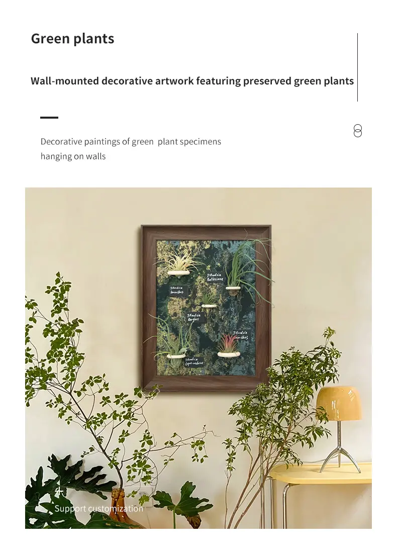 Wall-mounted decorative artwork featuring preserved green plants